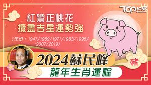 財位放石頭|2024年龍年布局｜蘇民峰教家居風水布局 趨旺財運桃 